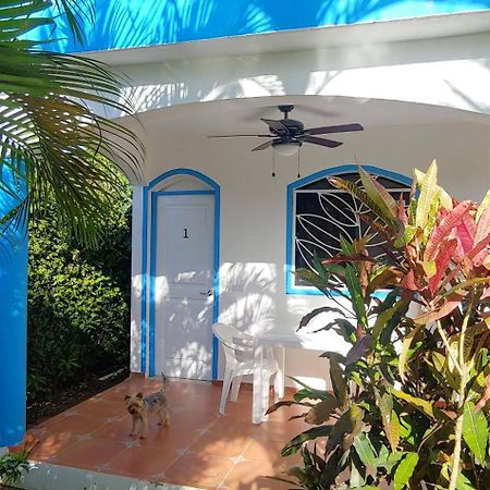 Chambre Bungalow2 Las Terrenas Exteriér fotografie
