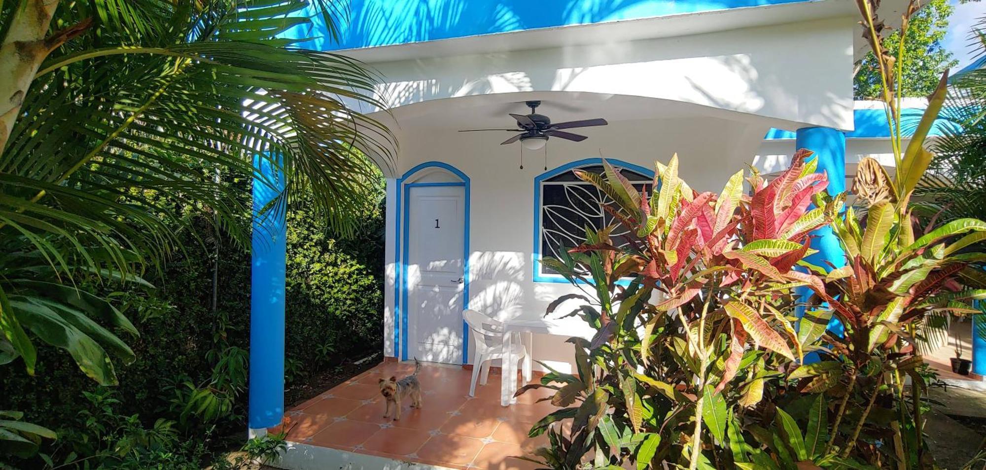 Chambre Bungalow2 Las Terrenas Exteriér fotografie